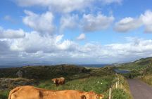 Private Tour of Beara Peninsula