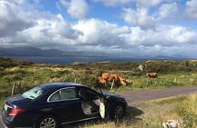 Private Tour of Beara Peninsula