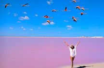 Tour Las Coloradas