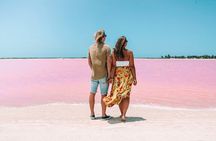 Las Coloradas & Rio Lagartos Tour from Cancún