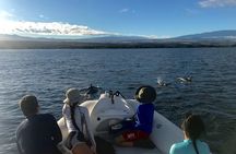 Private Big Island Snorkeling