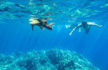 Private Big Island Snorkeling