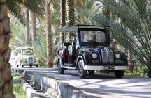 Classic Cart Tour through Alhamra Old Village