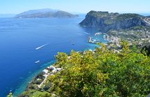 Capri Island and Blue Grotto Small Group Day Tour from Capri Port