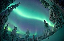 Aurora Borealis Picnic in Rovaniemi