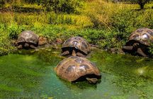 Galapagos By Land And Sea 4d-3n