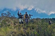 3 Day Private Tour: Birds and Mammals of the Andes