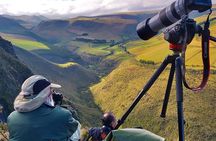 3 Day Private Tour: Birds and Mammals of the Andes