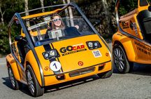 GoCar Barcelona Experience