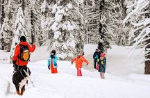 Introductory Guided Snowshoe Tour