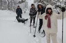 Introductory Guided Snowshoe Tour