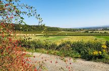 1 day UNESCO private wine experience in Kutna Hora