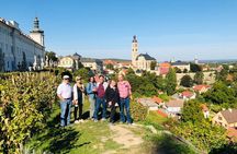 1 day UNESCO private wine experience in Kutna Hora