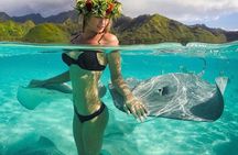 Snorkeling Safari Moorea (Half Day Tour)