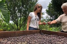 Chocolate Tour - Wonders of the Cacao
