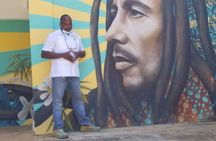6. Bob Marley 9miles/Dunn's River Private Tour(420 Friendly)final resting place 