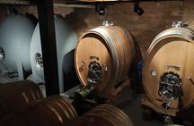 Organic Wine Tasting in Kefalonia