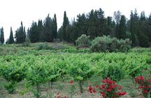 Organic Wine Tasting in Kefalonia