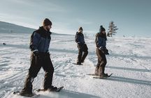 Snowshoe Fun
