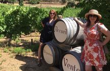 Short Day Tour around Aix en Provence and Wine Tasting 