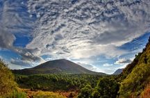 Discovering the Vesuvius - VIP tour / Small group