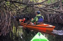 2Hour Everglades Kayak Safari Adventure Through Mangrove Tunnels