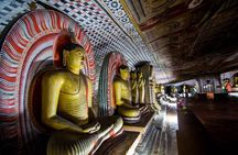 Sigiriya Lion Rock & Dambulla Cave Temple Day Tour From Colombo