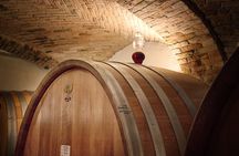 Langhe (Piedmont): Wine Tasting Experience 