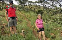 Hiking In the Magaliesberg,Wildlife hike an hour fromJohannesburg
