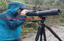 Ecuador Birds Tour & Mindo Cloud Forest - by Richard Hernandez