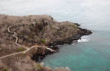 Day tour to San Cristobal Island with private Land Tour and snorkeling