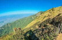 Doi Inthanon National Park and Kew Mae Pan Nature Trail Full Day Tour