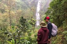 5-Days Group Tanzania Safari + Coffee Plantation Experience