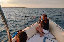 Private Dolphin Watching And Snorkeling Tour