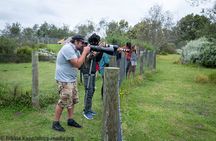 The Private Wildlife Tour