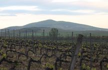 Private trip- Wine route- Food, drinks and nature and return to Zadar