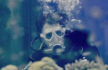 PADI Discover Scuba Diving Course