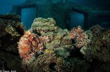 Introduction Diving on Coral Reef with private instructor ( 25 min )
