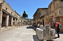 Herculaneum VIP Tour with Lunch from Naples 
