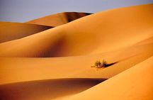 Private 2 Days 1 Night Wahiba Sands Desert and Wadi Bani Khalid Tour