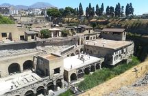 Herculaneum VIP Tour with Lunch from Naples 