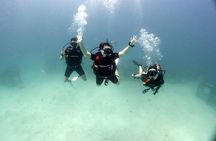 Discover Scuba Diving 3 Dives Racha Islands
