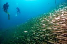 Discover Scuba Diving 3 Dives Racha Islands