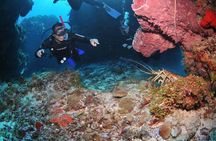 Discover scuba diving in Búzios