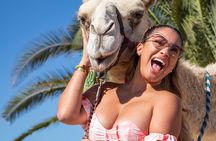 Boat Ride to the Arch and Beach Camel Ride in Cabo San Lucas Shared Tour