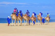 Boat Ride to the Arch and Beach Camel Ride in Cabo San Lucas Shared Tour