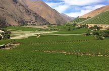 Grand Tour Elqui Valley Mountains and Cultural Treasures of Chile