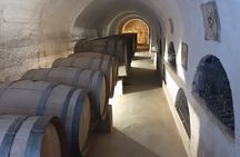 Grand Tour Elqui Valley Mountains and Cultural Treasures of Chile
