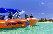 St Maarten Shore Excursion: Snorkeling and Speed Boat Tour