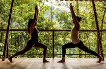 Jungle Bliss: Yoga, Waterfalls, and Blue Clay Experience w/Lunch